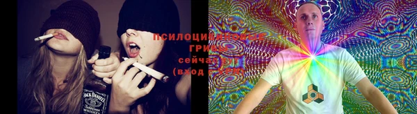 индика Лихославль