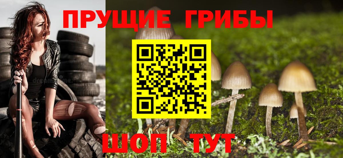 Муром  Псилоцибиновые грибы Psilocybine cubensis  Вход с VPN 
